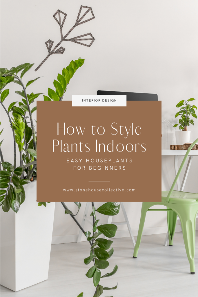 How to Style Plants Indoors - easy Houseplants for Beginners
