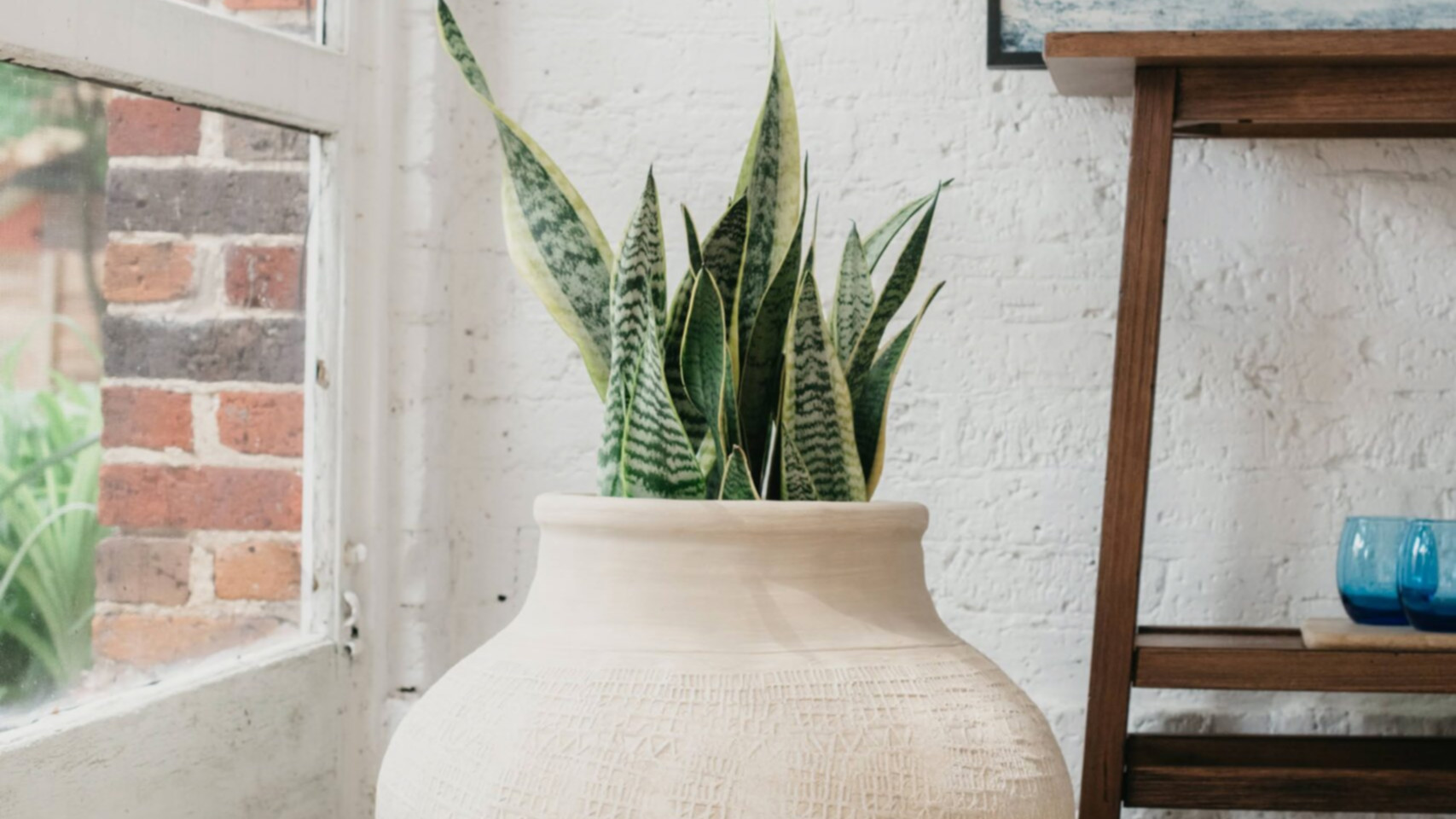 15 of the Best Pots and Planters for Indoor Plants